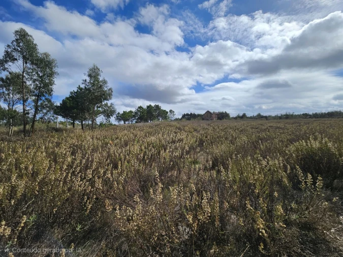 Terreno para Venda em A dos Cunhados e Maceira Foto 9