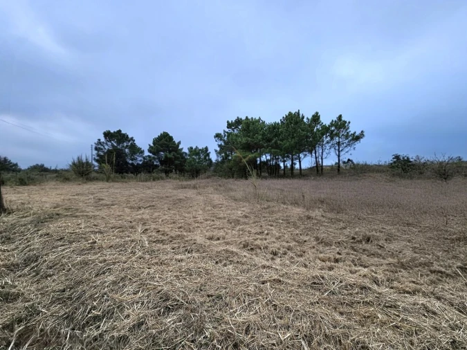 Terreno para Venda em A dos Cunhados e Maceira Foto 14