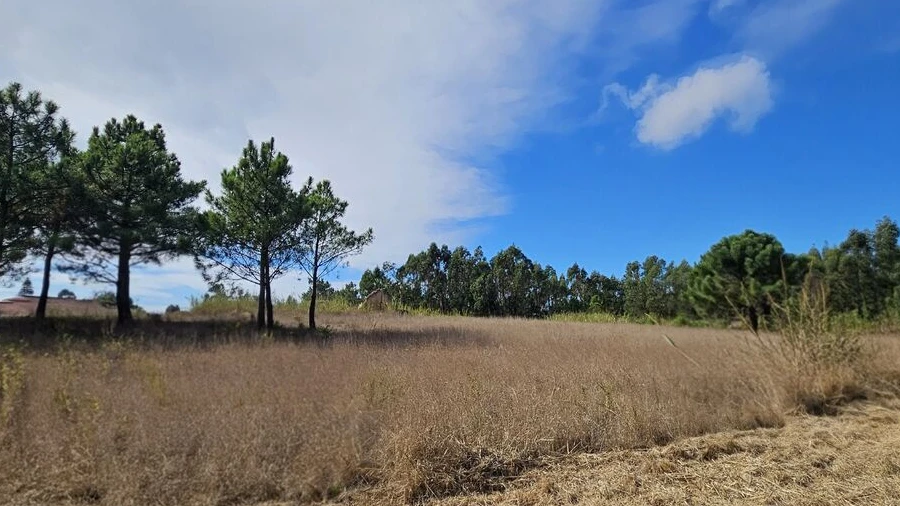 Terreno para Venda em A dos Cunhados e Maceira