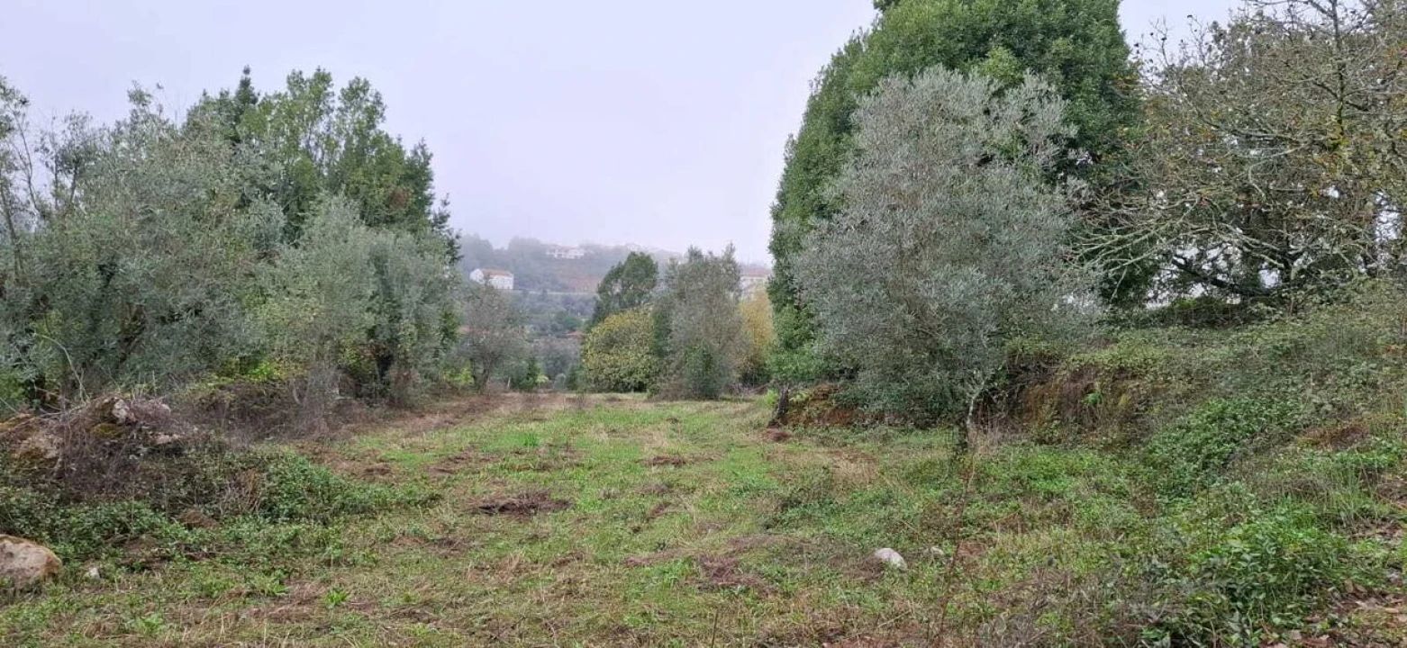 Terreno para Venda em São Miguel, Santa Eufémia e Rabaçal Foto 1