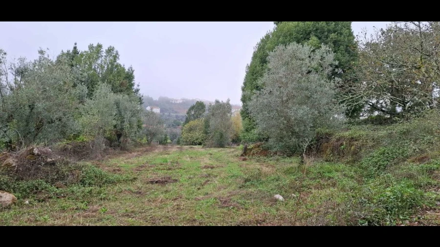 Terreno para Venda em São Miguel, Santa Eufémia e Rabaçal