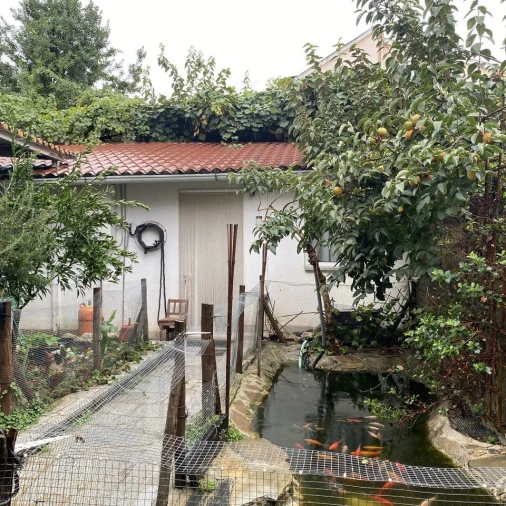 Moradia T3 para Venda em Freixo de Espada a Cinta e Mazouco Foto 36