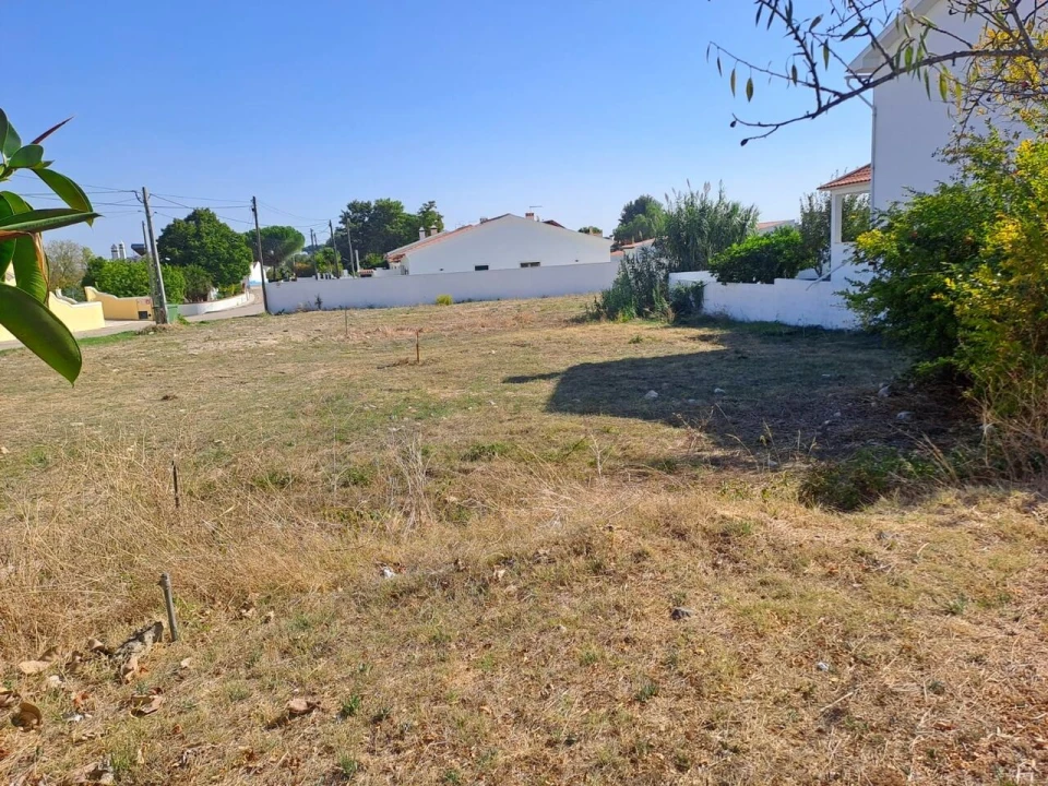 Terreno para Venda em Torres Novas (Santa Maria, Salvador e Santiago) Foto 1
