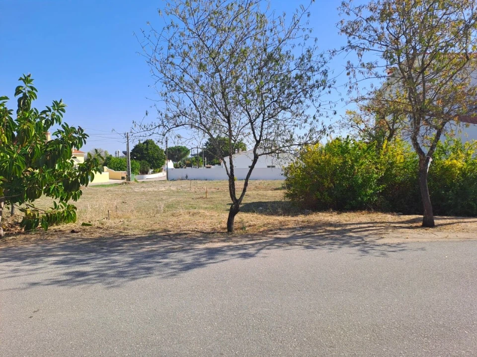 Terreno para Venda em Torres Novas (Santa Maria, Salvador e Santiago) Foto 2
