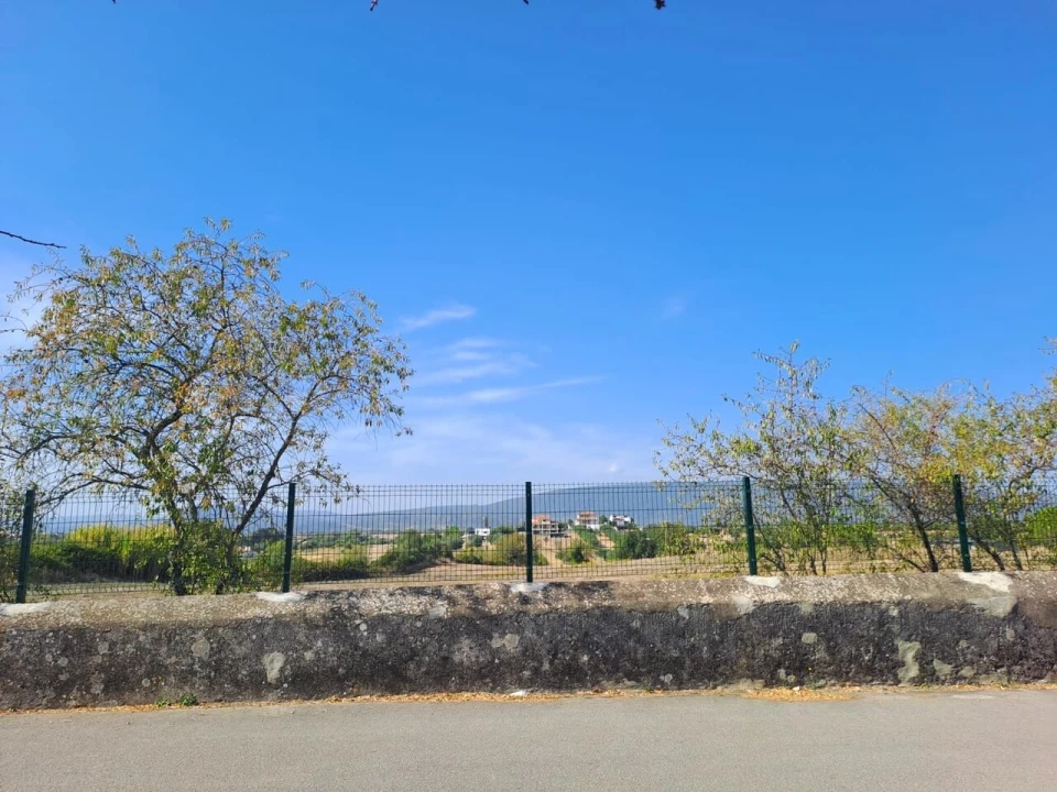 Terreno para Venda em Torres Novas (Santa Maria, Salvador e Santiago) Foto 3