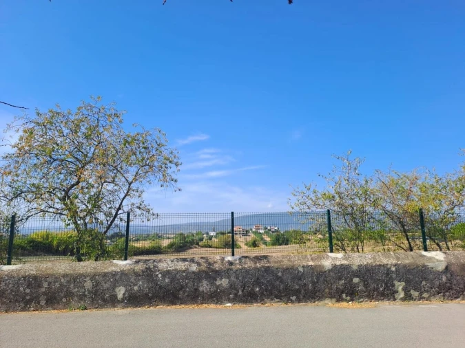 Terreno para Venda em Torres Novas (Santa Maria, Salvador e Santiago) Foto 3