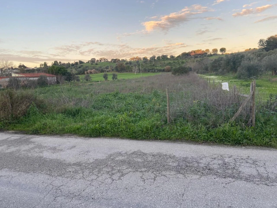 Terreno para Venda em Madalena e Beselga Foto 2