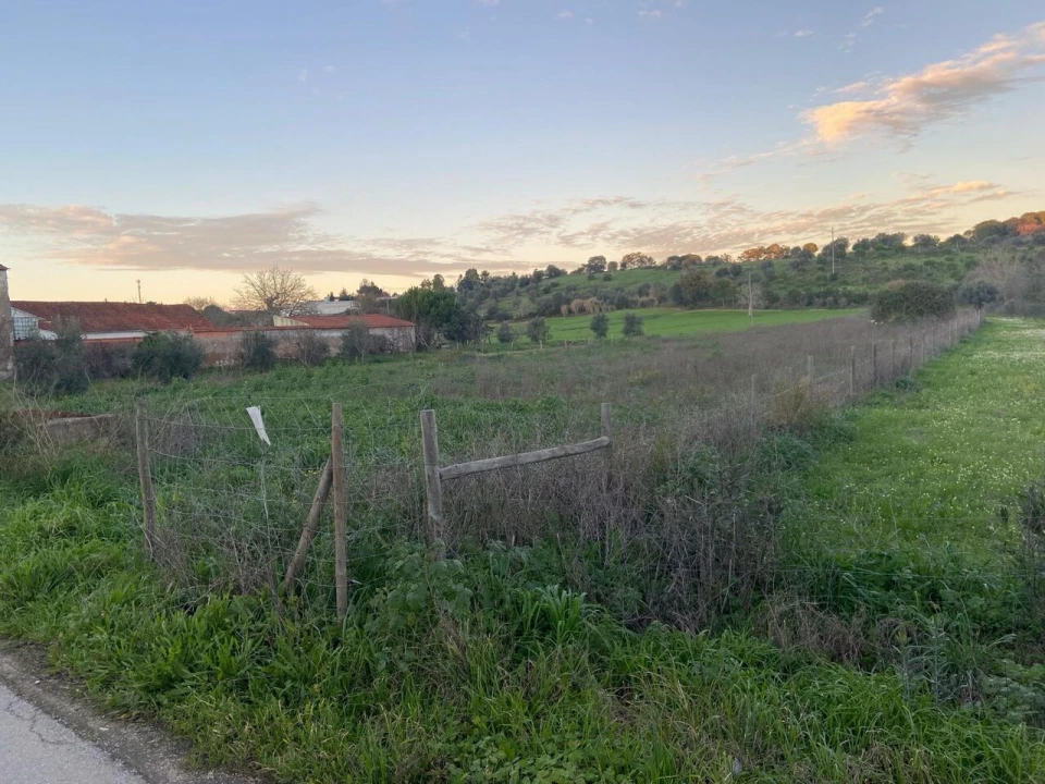 Terreno para Venda em Madalena e Beselga Foto 4
