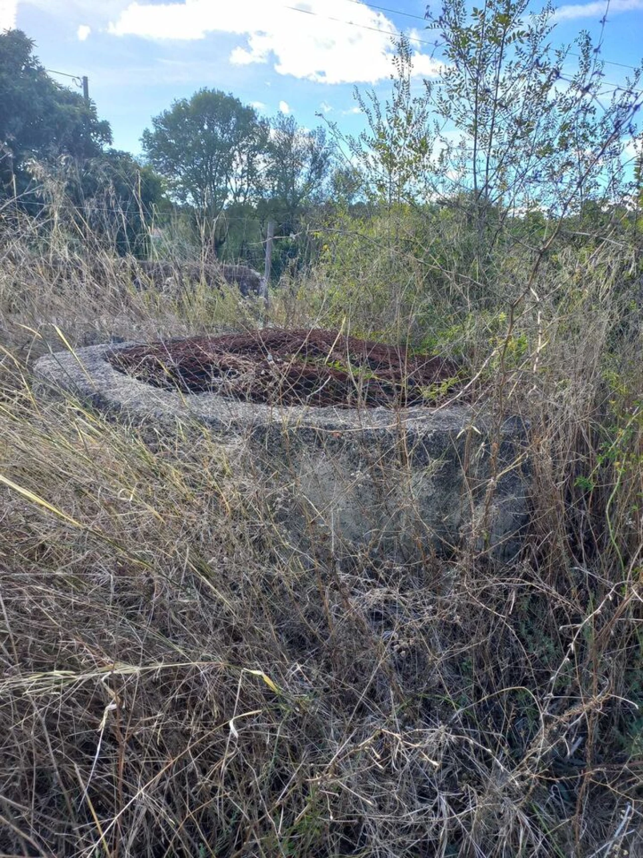 Terreno para Venda em Madalena e Beselga Foto 5