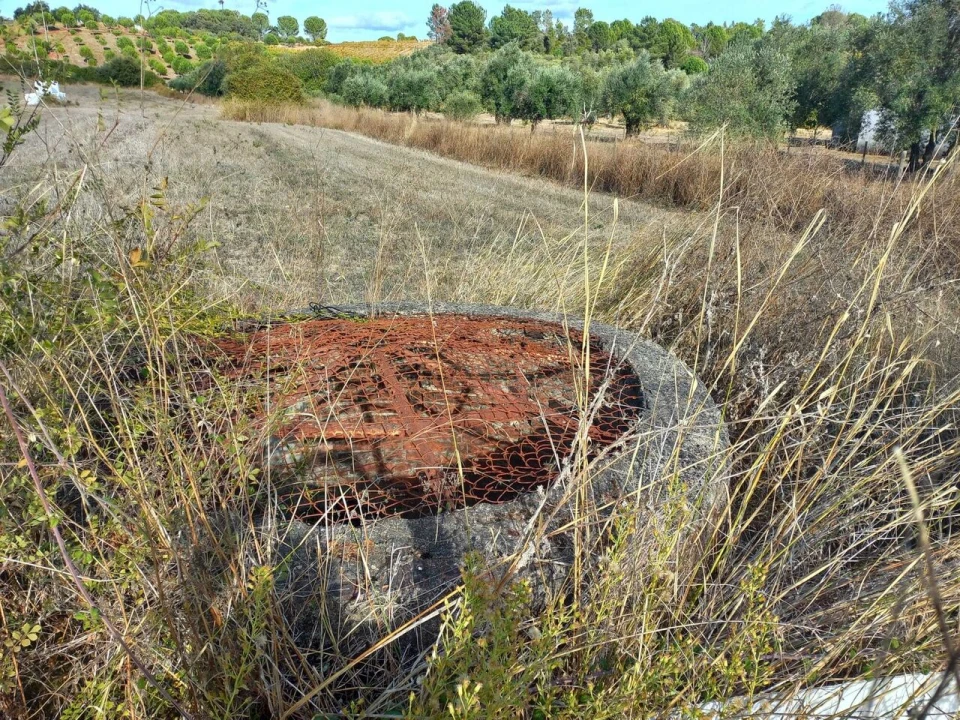 Terreno para Venda em Madalena e Beselga Foto 6