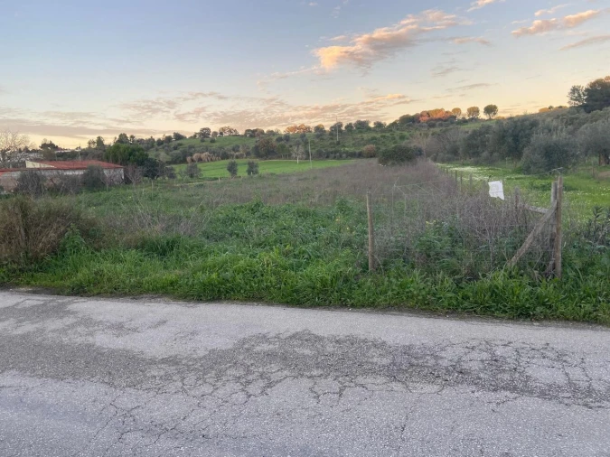 Terreno para Venda em Madalena e Beselga Foto 2