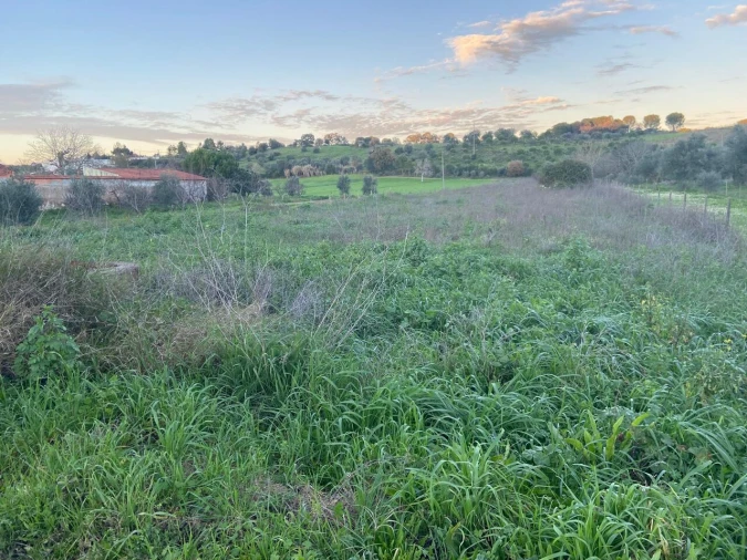 Terreno para Venda em Madalena e Beselga Foto 3