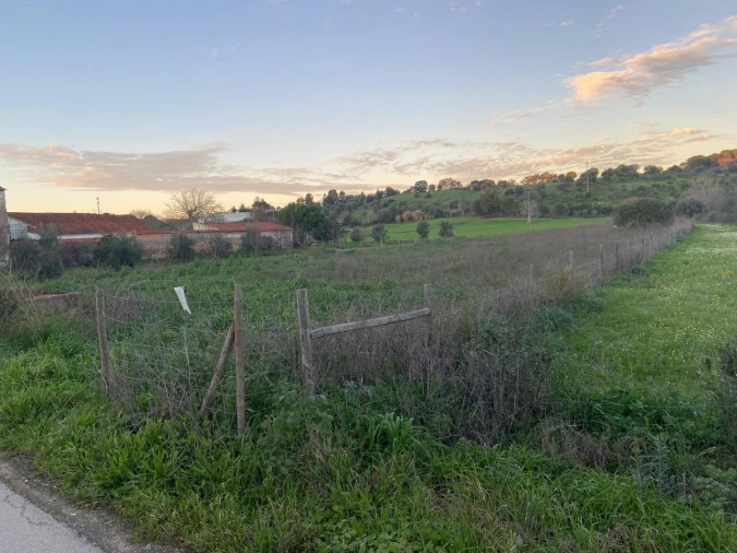 Terreno para Venda em Madalena e Beselga Foto 4