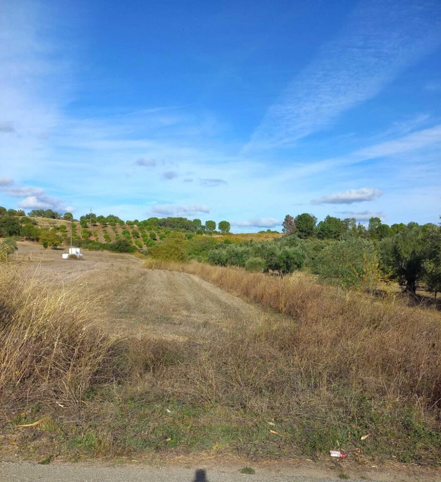 Terreno para Venda em Madalena e Beselga Foto 1