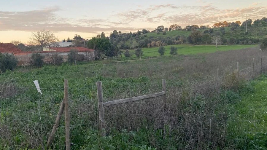 Terreno para Venda em Madalena e Beselga