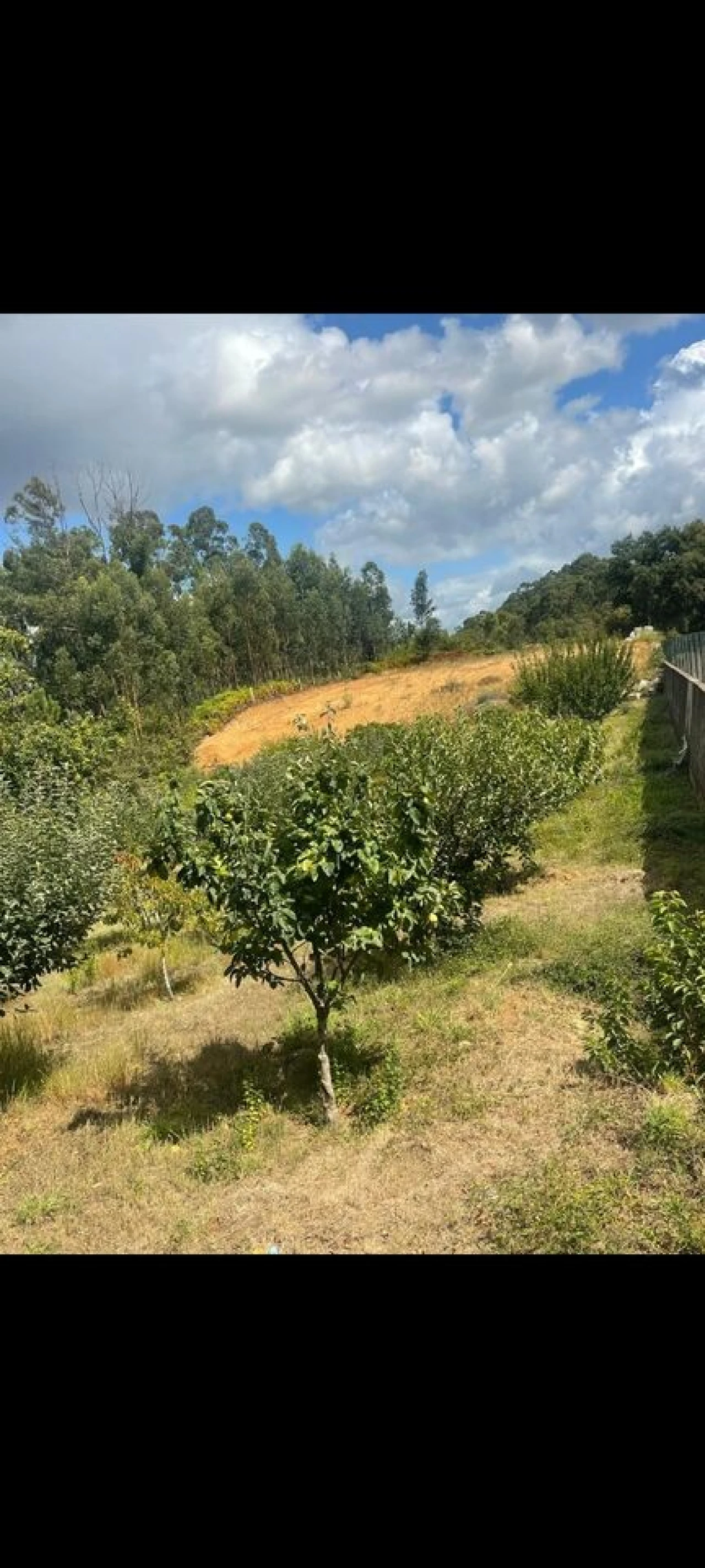 Terreno para Venda em Mazedo e Cortes Foto 1