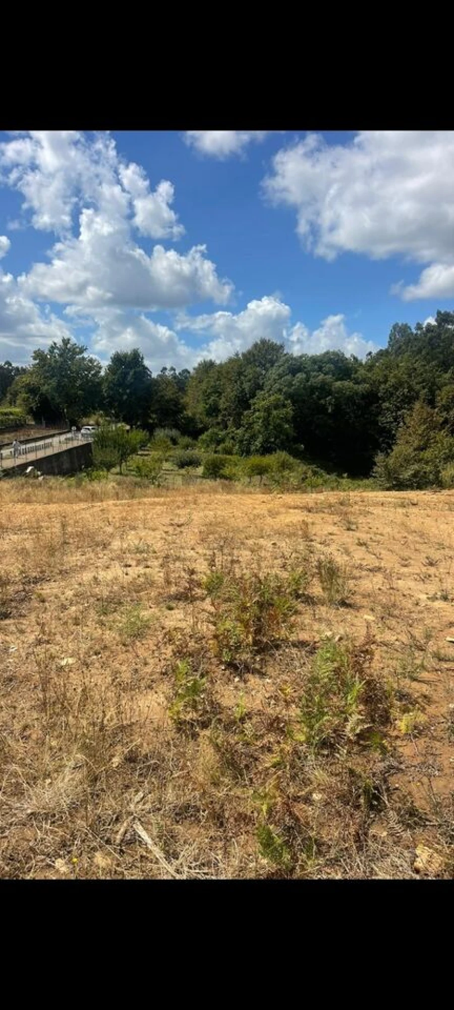 Terreno para Venda em Mazedo e Cortes Foto 2