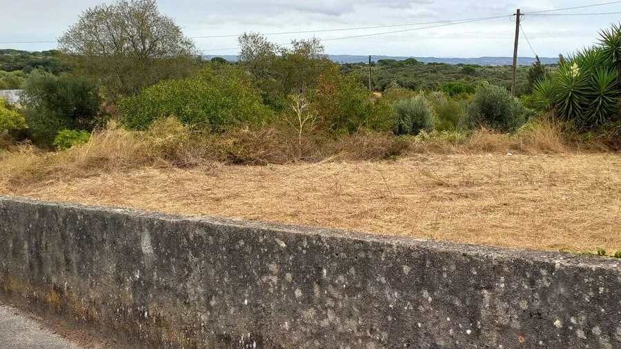 Terreno para Venda em Olaia e Paço