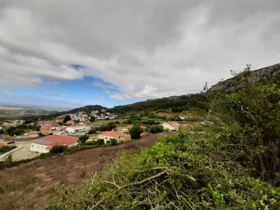 Terreno para Venda em Lamas e Cercal Foto 5