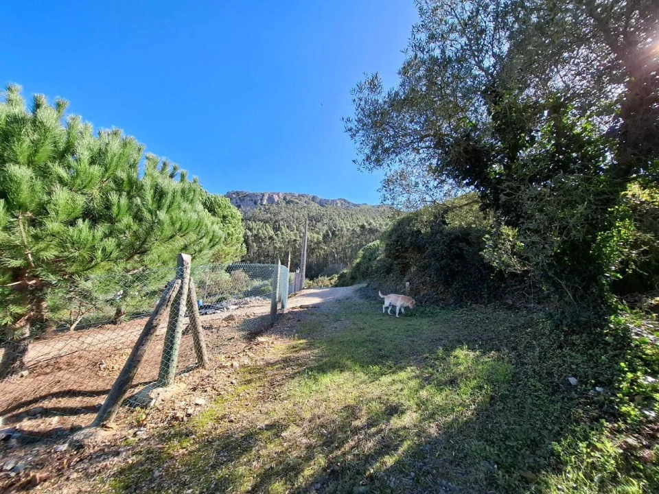 Terreno para Venda em Lamas e Cercal Foto 10