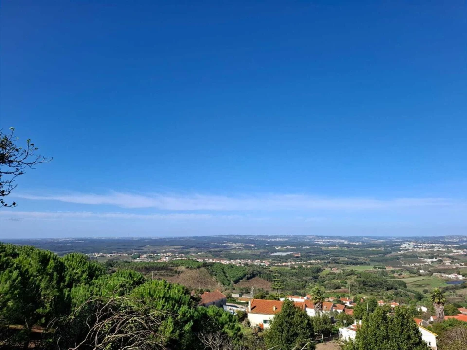 Terreno para Venda em Lamas e Cercal Foto 15