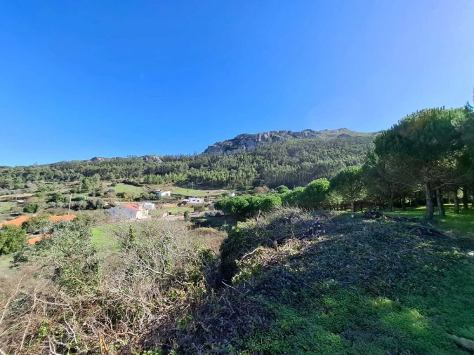 Terreno para Venda em Lamas e Cercal Foto 9