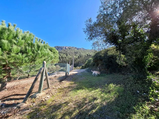 Terreno para Venda em Lamas e Cercal Foto 10