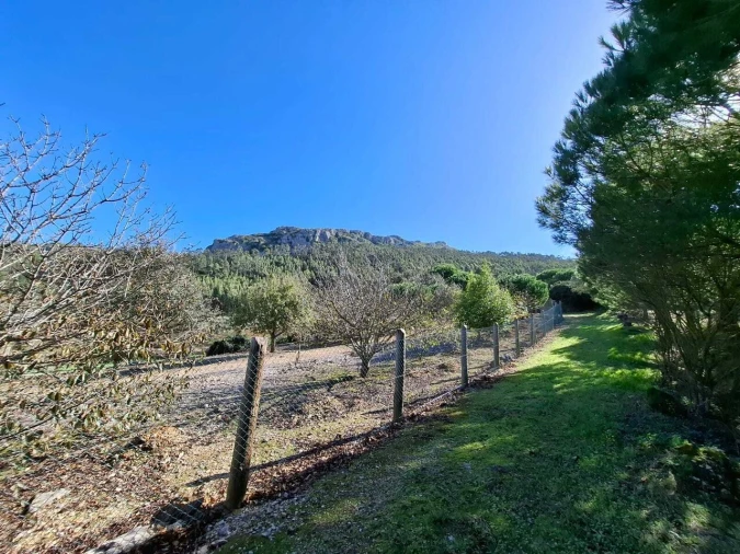 Terreno para Venda em Lamas e Cercal Foto 11