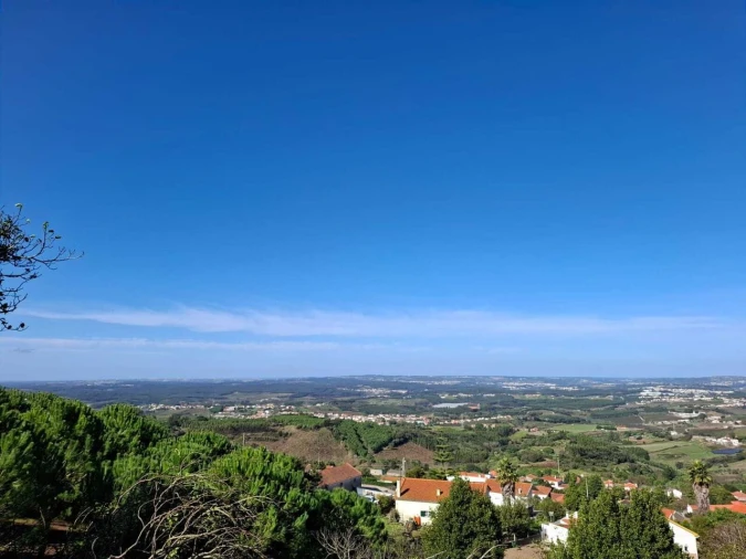 Terreno para Venda em Lamas e Cercal Foto 15