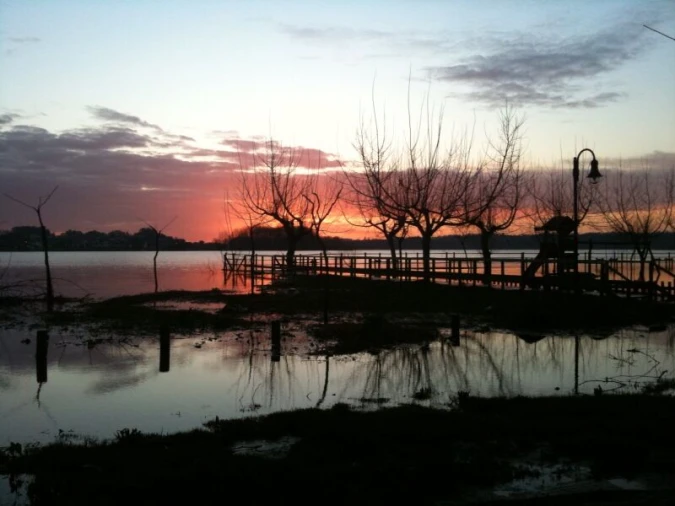 Loja para Venda em Travassô e Óis da Ribeira Foto 5