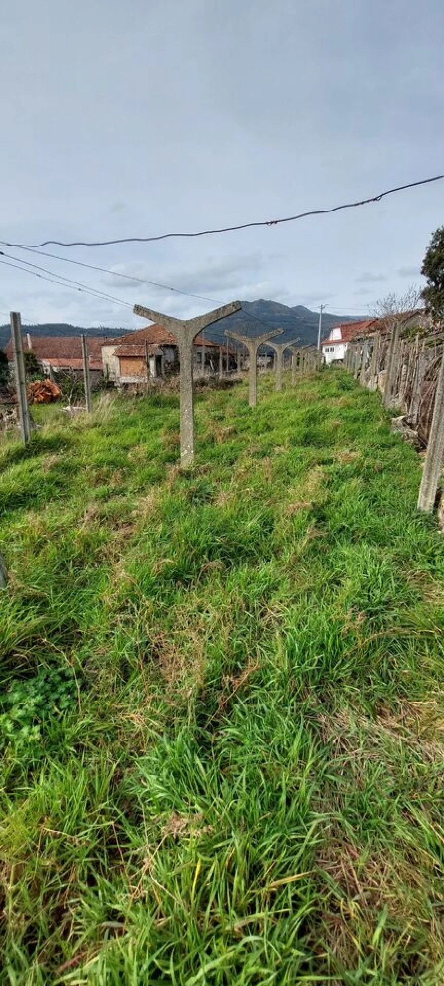 Moradia T2 para Venda em Messegães, Valadares e Sá Foto 5