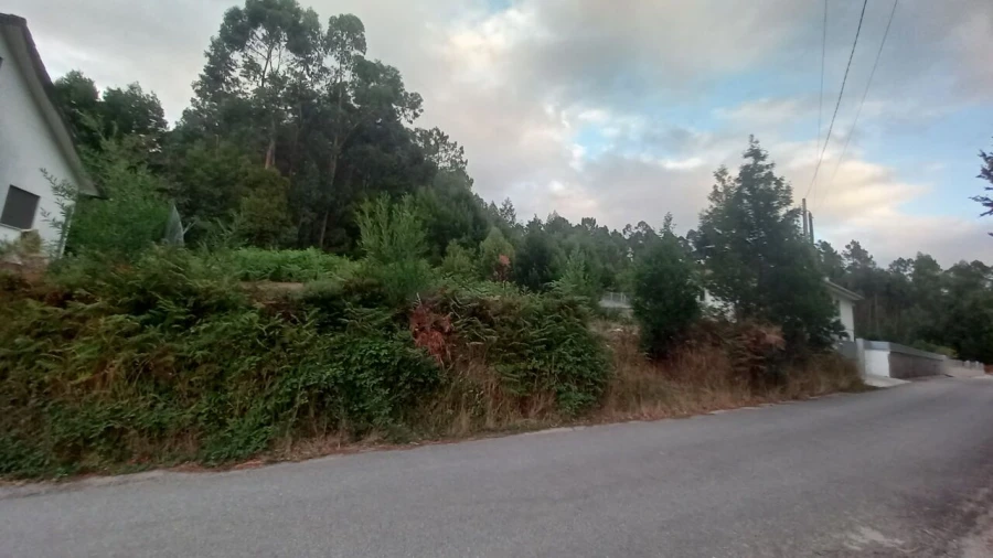 Terreno para Venda em Mazedo e Cortes Foto 1