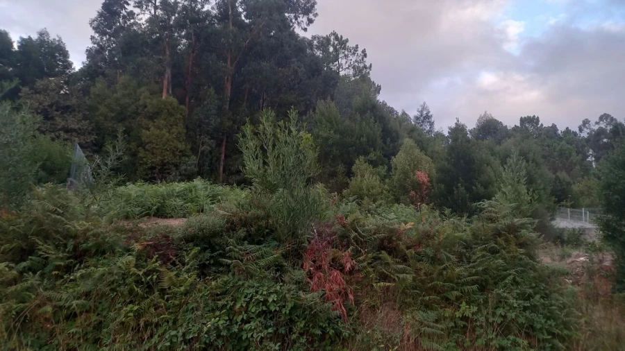 Terreno para Venda em Mazedo e Cortes Foto 2