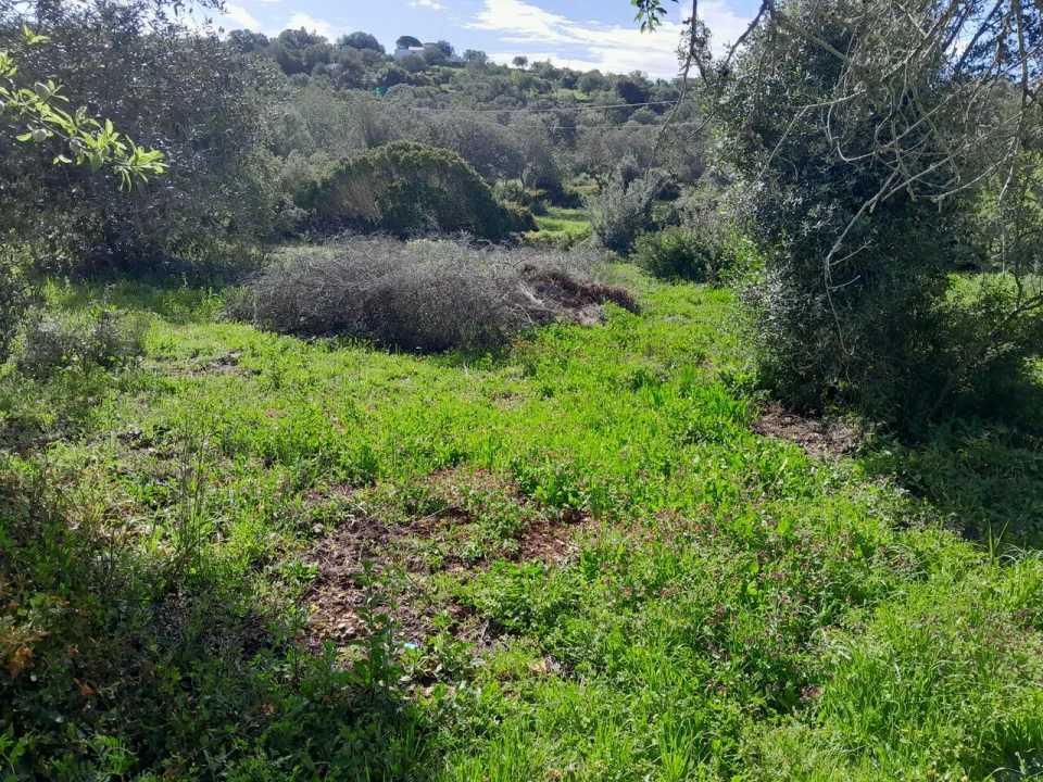 Moradia T0 para Venda em Loule (São Clemente) Foto 3