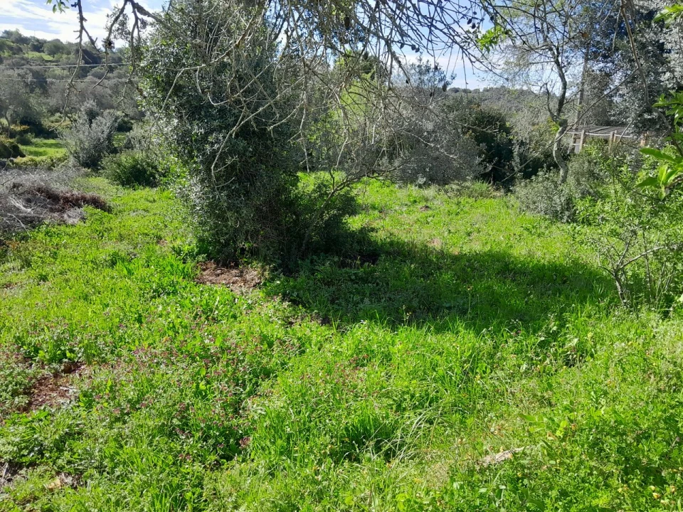 Moradia T0 para Venda em Loule (São Clemente) Foto 4