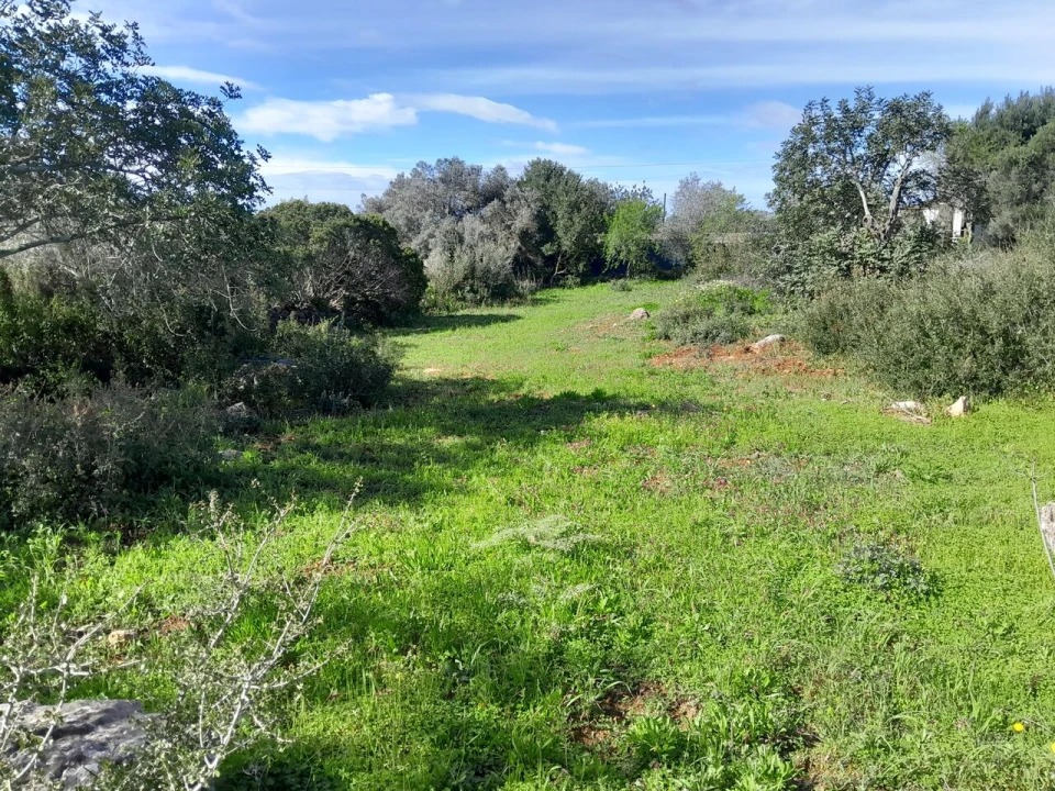 Moradia T0 para Venda em Loule (São Clemente) Foto 5