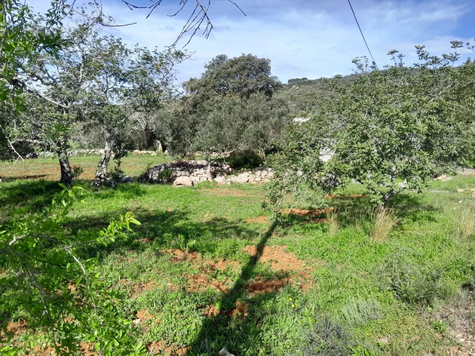 Moradia T0 para Venda em Loule (São Clemente) Foto 6