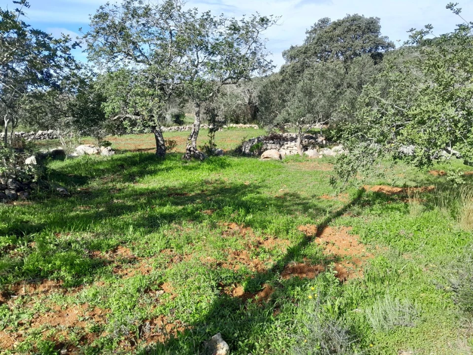 Moradia T0 para Venda em Loule (São Clemente) Foto 7