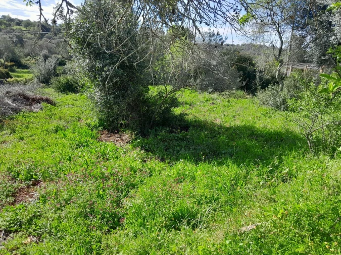 Moradia T0 para Venda em Loule (São Clemente) Foto 4