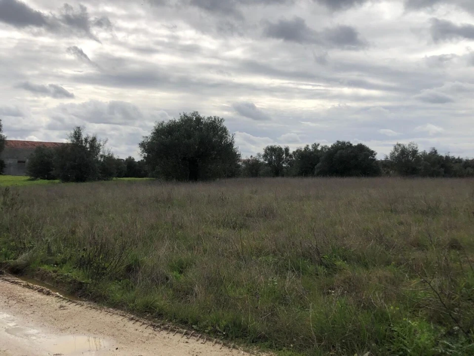 Terreno para Venda em Alcanena e Vila Moreira Foto 1