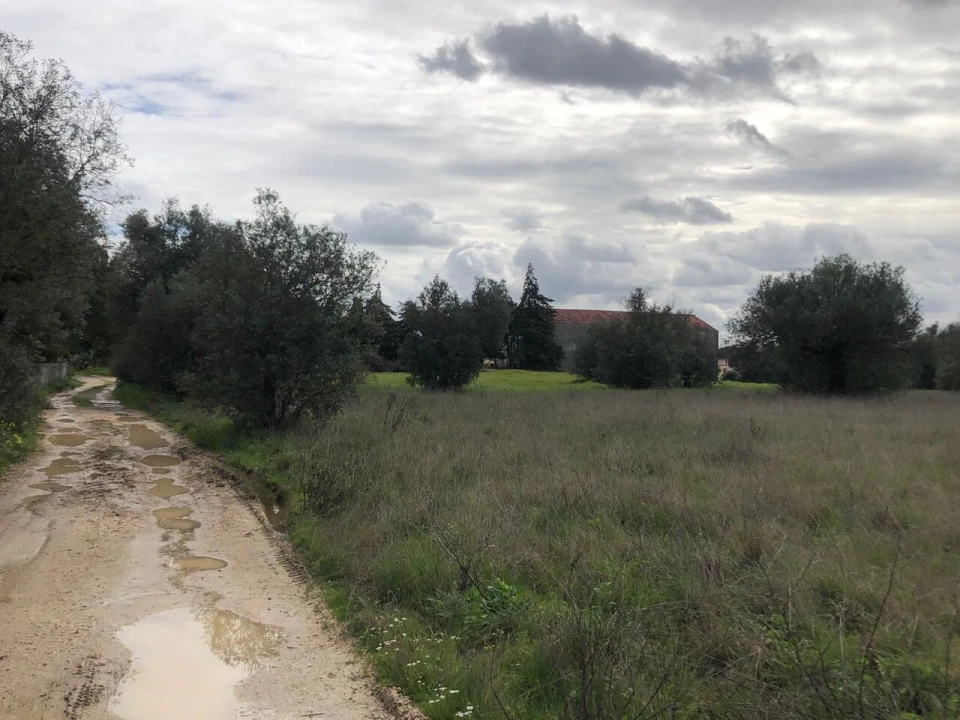 Terreno para Venda em Alcanena e Vila Moreira Foto 2