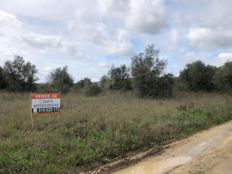 Terreno para Venda em Alcanena e Vila Moreira Foto 4