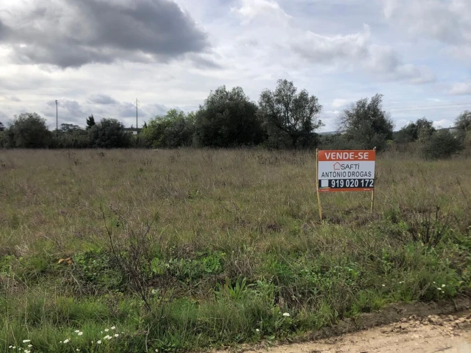 Terreno para Venda em Alcanena e Vila Moreira Foto 5