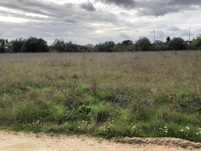 Terreno para Venda em Alcanena e Vila Moreira Foto 3