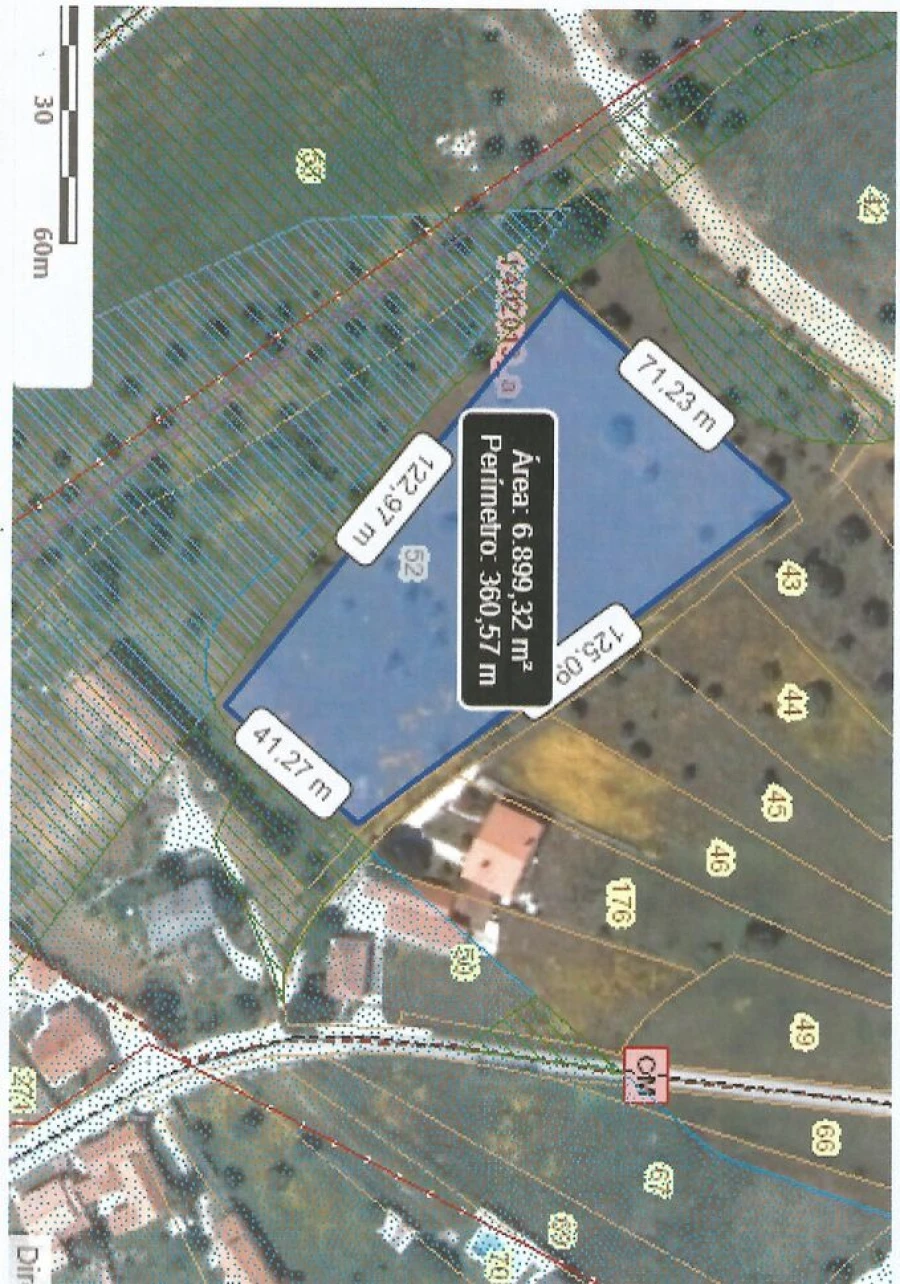 Terreno para Venda em Alcanena e Vila Moreira Foto 6