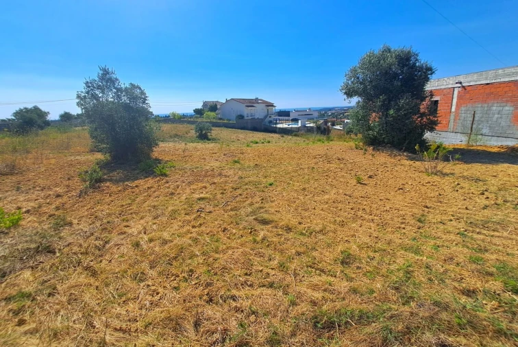 Terreno para Venda em Brogueira, Parceiros de Igreja e Alcorochel Foto 2