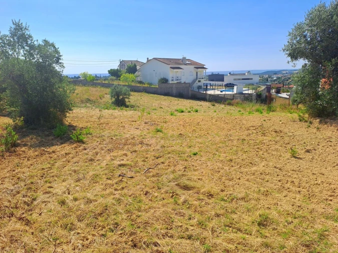 Terreno para Venda em Brogueira, Parceiros de Igreja e Alcorochel Foto 3