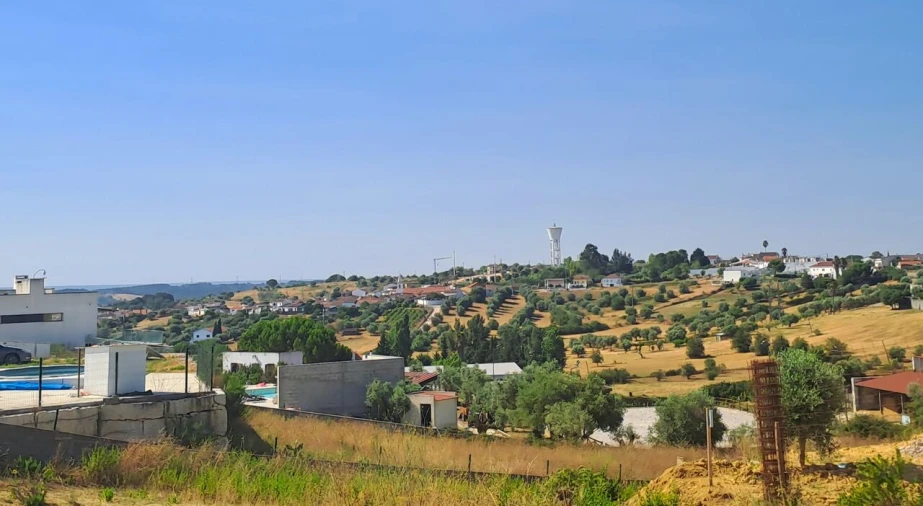 Terreno para Venda em Brogueira, Parceiros de Igreja e Alcorochel Foto 5