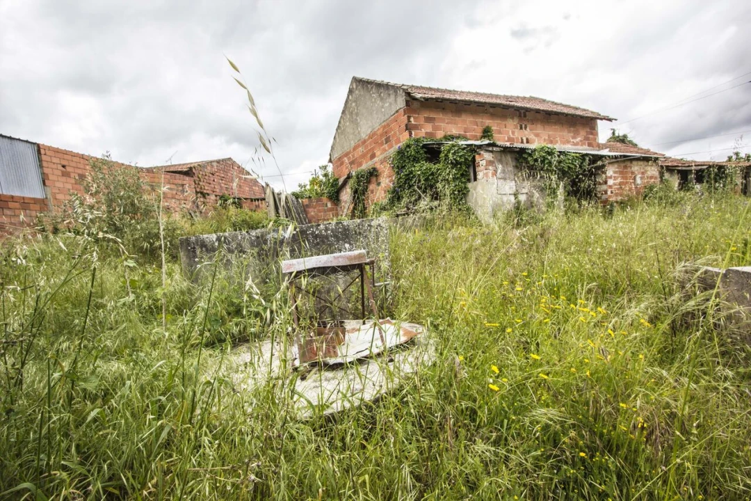 Moradia T4 para Venda em Parceiros e Azoia Foto 15