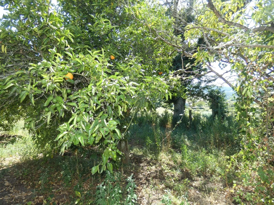 Quinta T10 para Venda em Prado e Remoães Foto 16